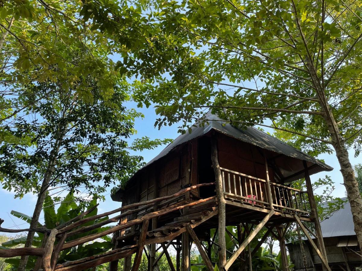 Willa Sunny Field Eco Stilt House Cat Tien Zewnętrze zdjęcie