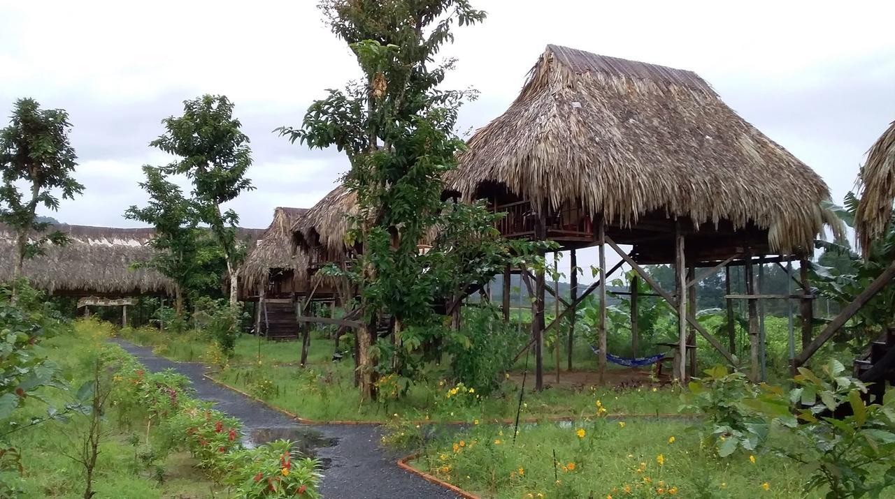 Willa Sunny Field Eco Stilt House Cat Tien Zewnętrze zdjęcie