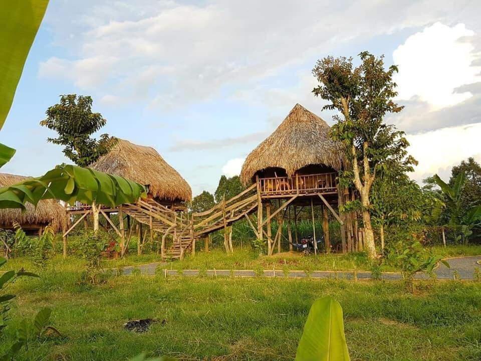 Willa Sunny Field Eco Stilt House Cat Tien Zewnętrze zdjęcie
