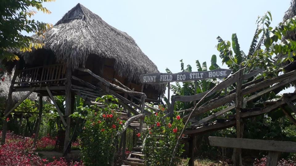 Willa Sunny Field Eco Stilt House Cat Tien Zewnętrze zdjęcie
