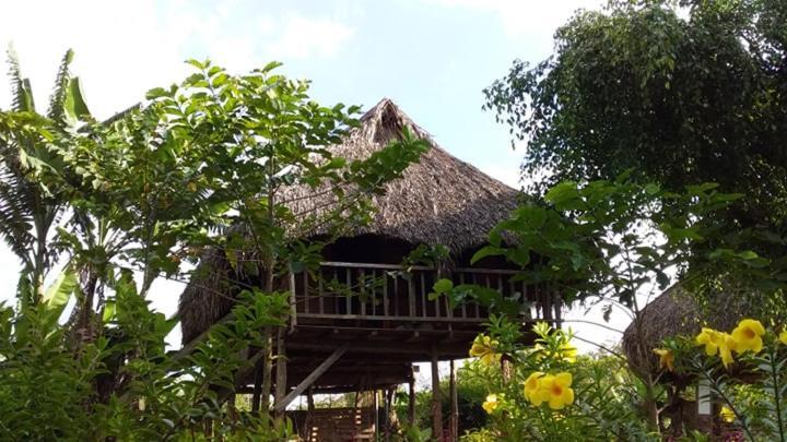 Willa Sunny Field Eco Stilt House Cat Tien Zewnętrze zdjęcie